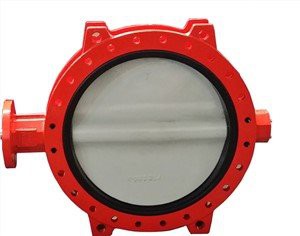 Concentric Viton Lub Rooj Npauj Npaim Valve