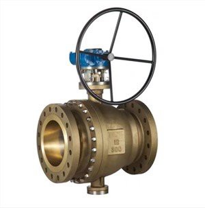 Oxygen Pob Valve