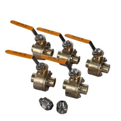 Tin Bronze Valve