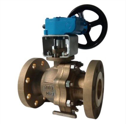 Floating Pob Valve